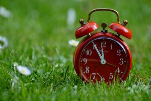 Red Alarm Clock on Grass Field