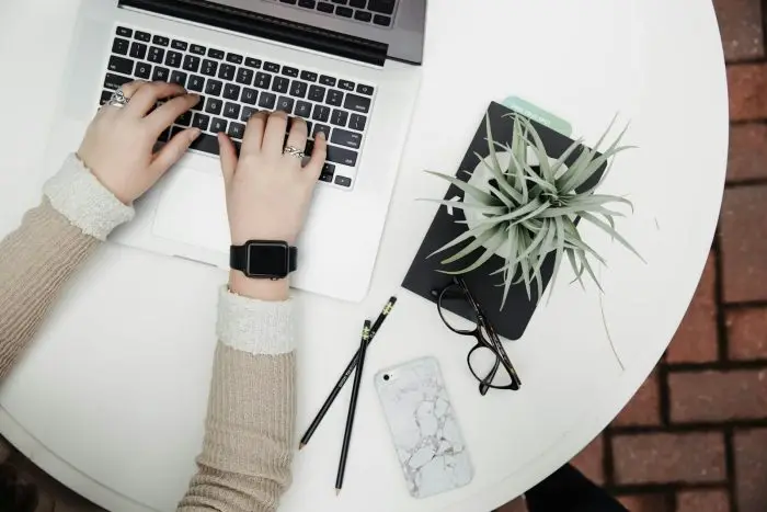 person using laptop computer beside aloe plant