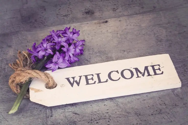hyacinth next to welcome sign