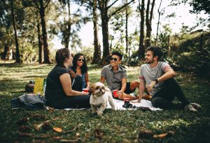 Friends having a fun picnic in the park with dog