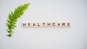 Healthcare spelled with wooden tiles next to a green fern leaf