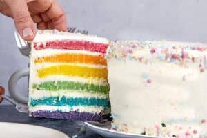 rainbow-cake slice