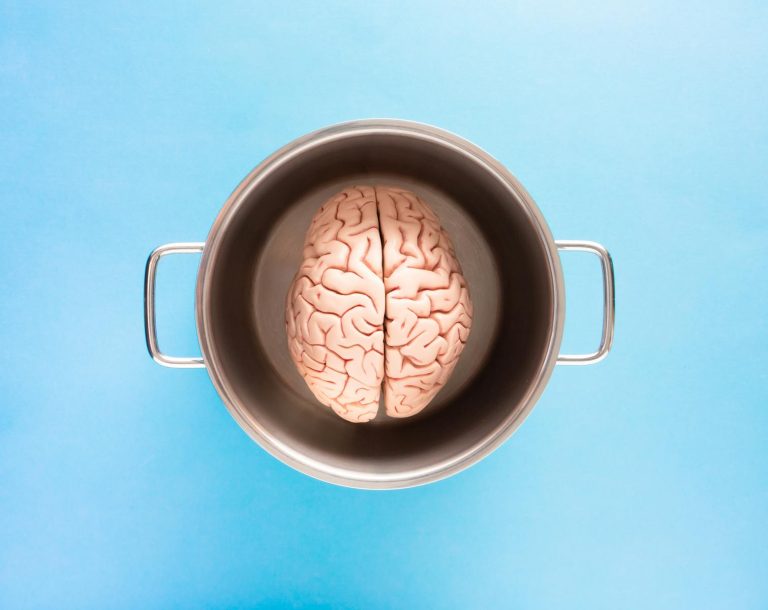 human brain model in a pot
