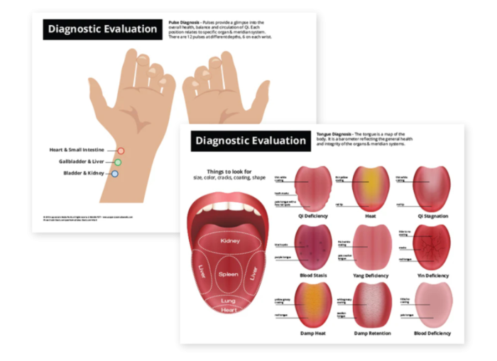 Diagnostic Evaluation Chart Tongue Pulse
