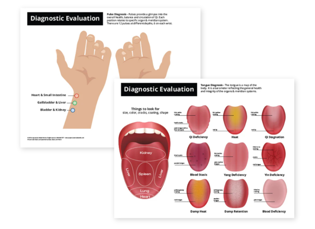 Diagnostic Evaluation Chart Tongue Pulse