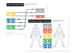 QiFlow Chart Product Shot 