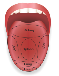 tongue-diagnostic-dropshadow