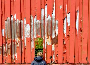 A person in a jacket looks through a gap in a rusty metal fence